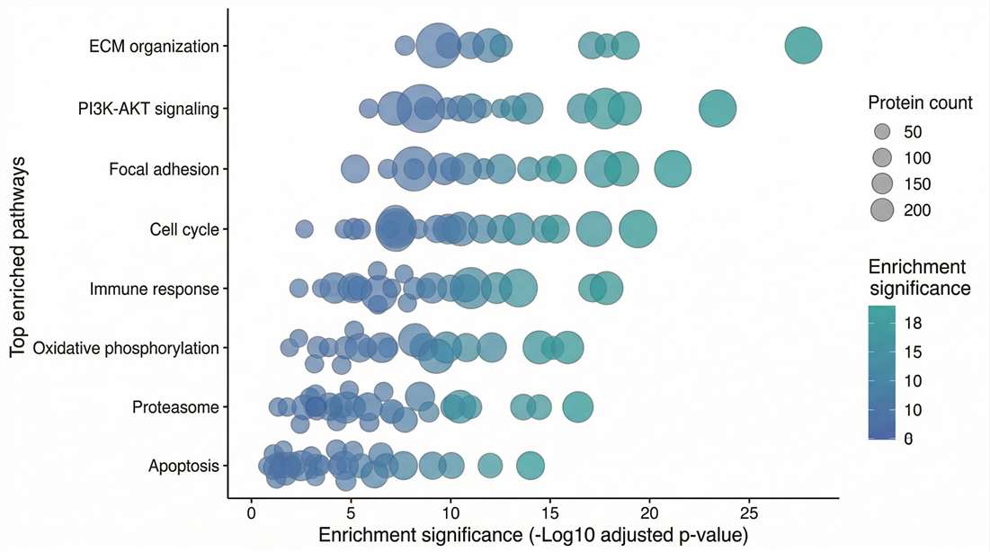 pathway enrichment bubble plot for biological interpretation