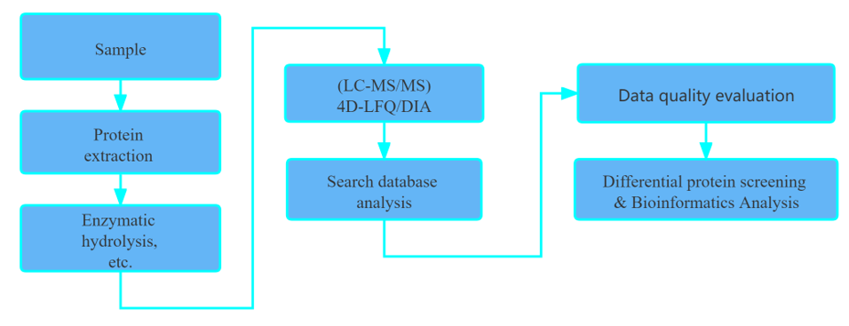 4d-lfq-metaproteomics-services-4.png