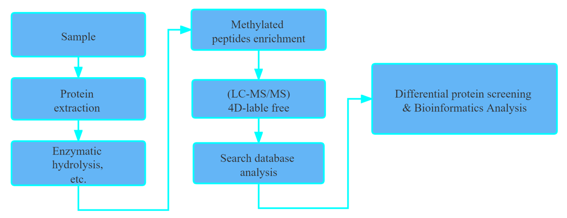 4d-methylation-proteomics-services-4.png