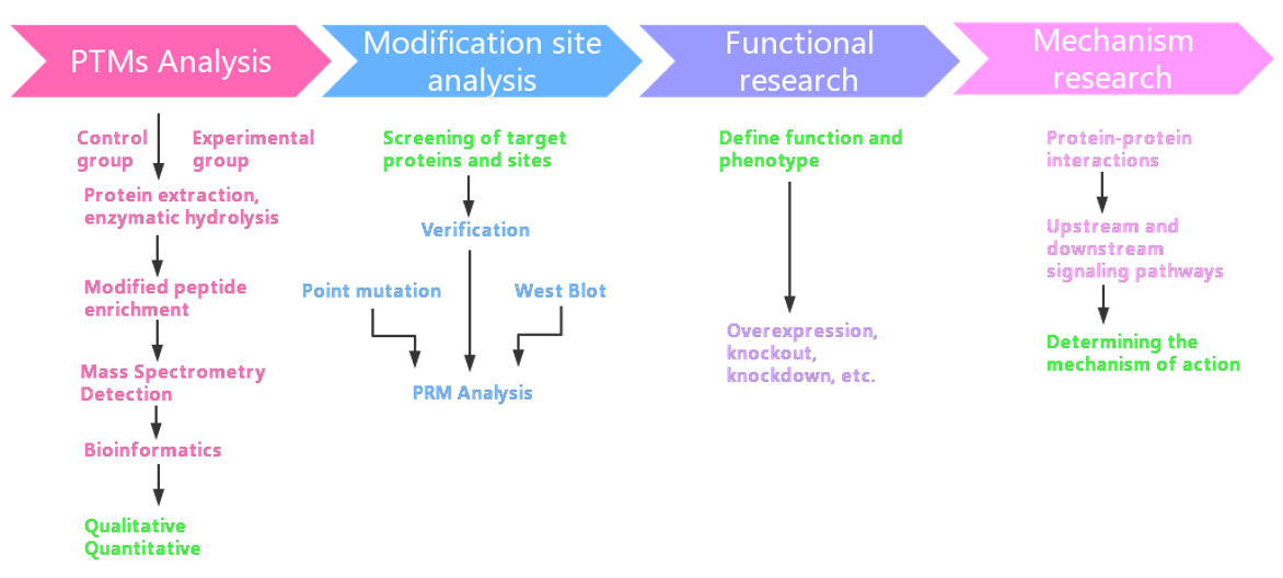 Experimental Ideas for PTMs Proteomics