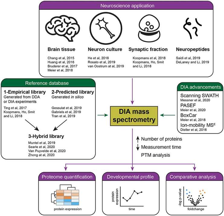 DIA vs DDA Mass Spectrometry: A Comprehensive Comparison