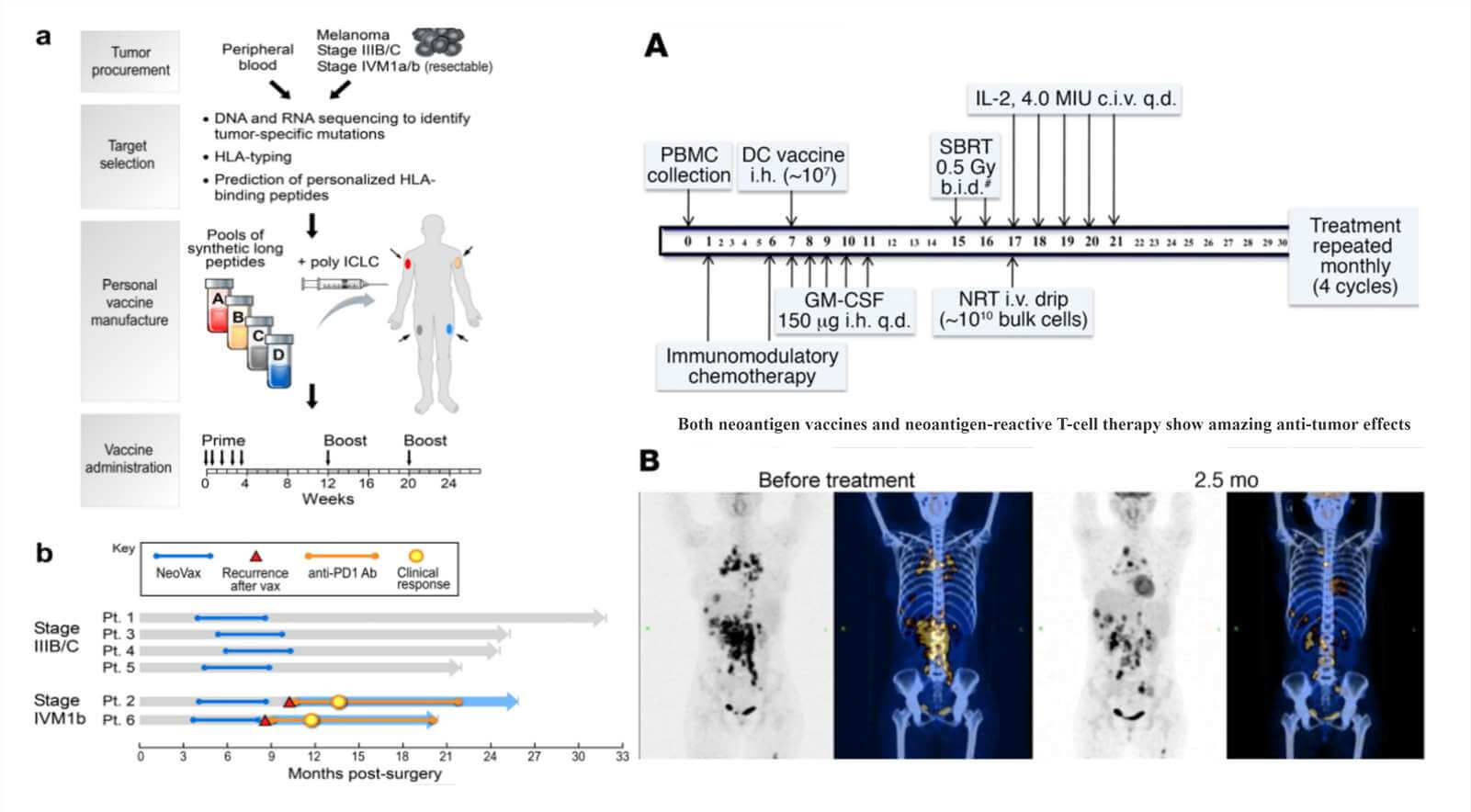 Catherine J Wu, et al. Nature.2017  Baorui Liu, et al.J Clin Invest.2019