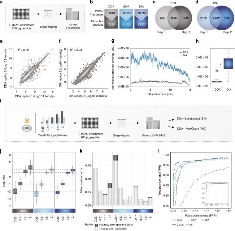 Large-scale DIA Phosphoproteomics Quantification In Large Samples