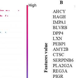 SHAP-based local and global feature importance plots for machine learning models in colorectal cancer proteomics
