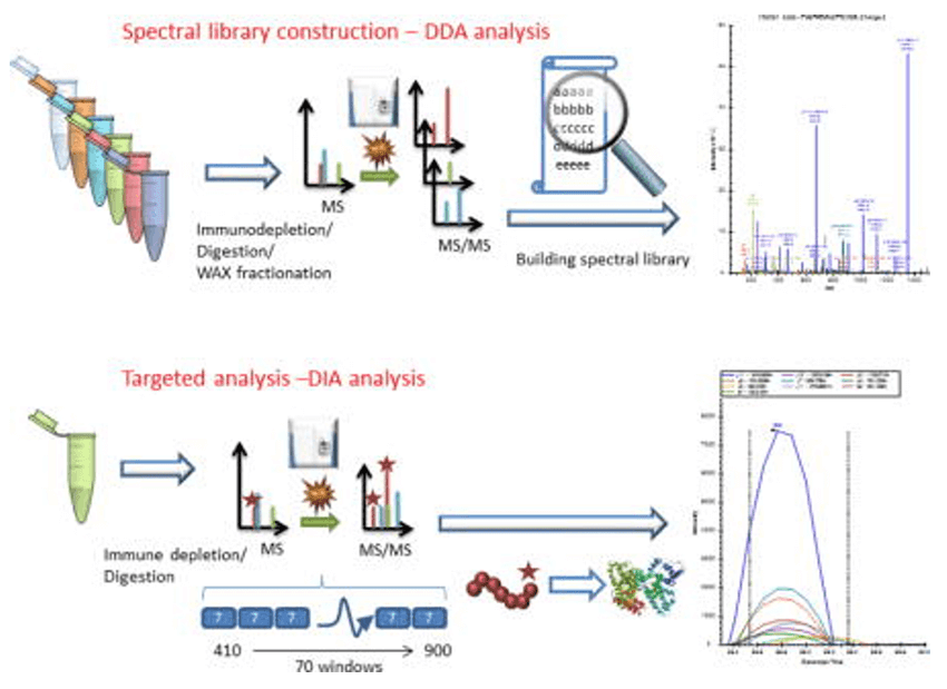 DIA-based targeted proteomics for protein quantification in plasma