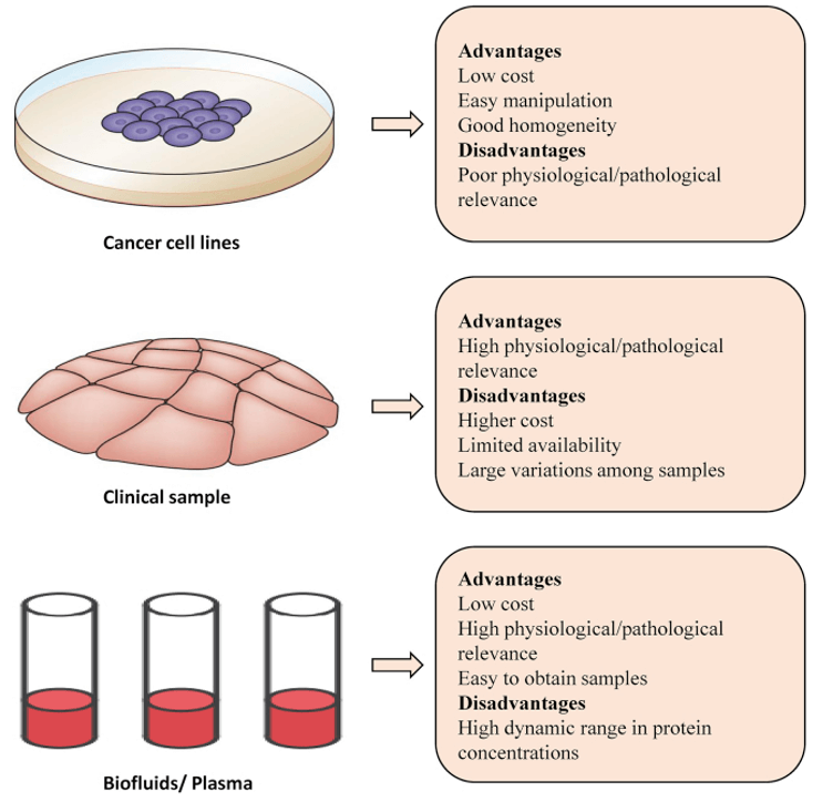 A comparison of the biological samples used in quantitative proteomics