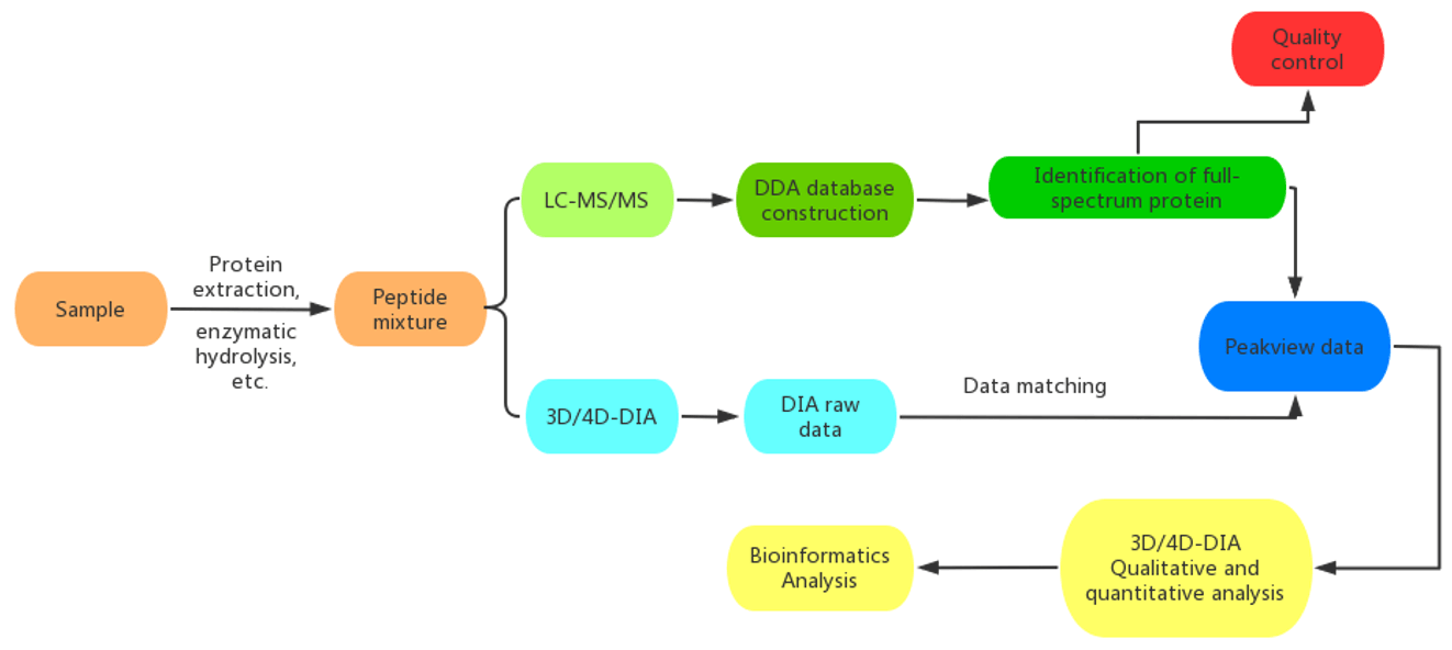 Workflow of Our Cancer Proteomics Service