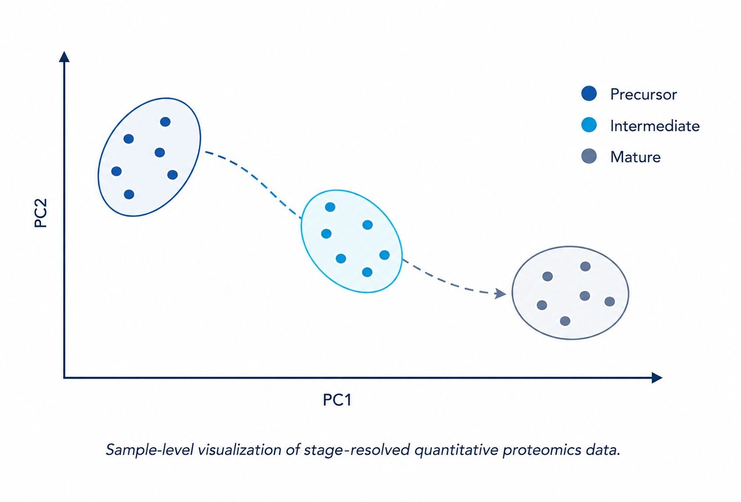Principal component analysis visualization of stage-resolved cell differentiation proteomics data