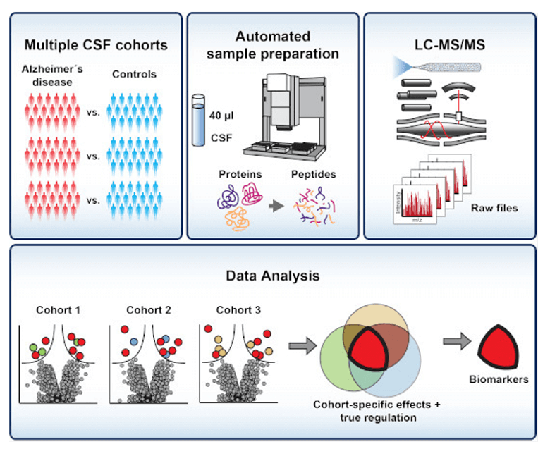 A robust proteomics workflow quantifies more than 1,000 proteins in cerebrospinal fluid.