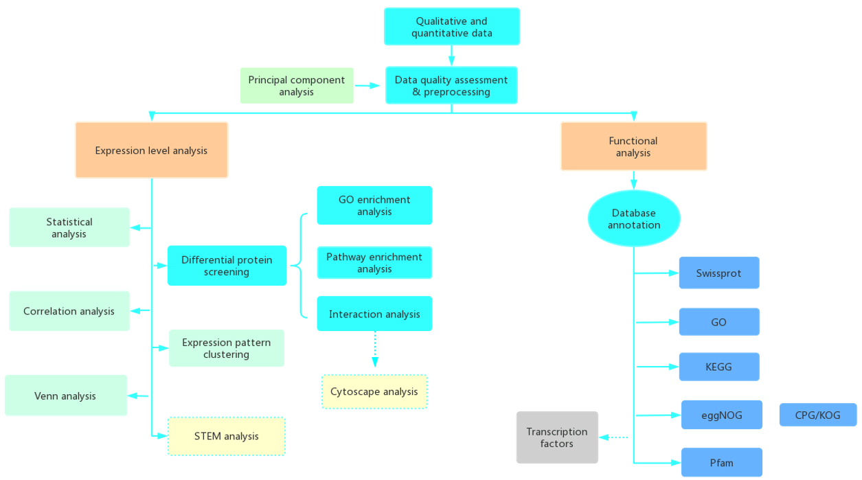 Data Analysis