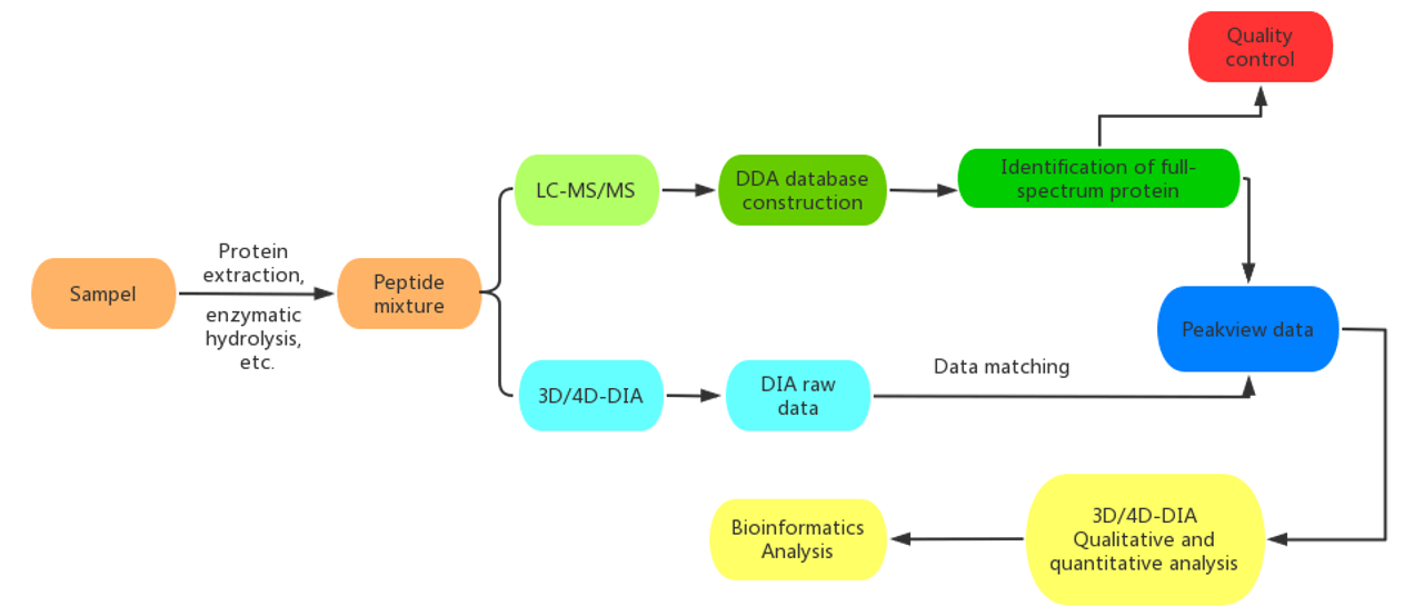 Workflow of Our Clinical Proteomics Service