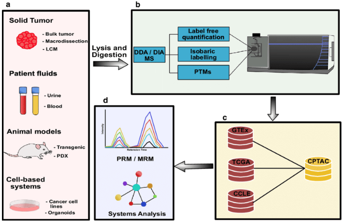 Overview of clinical cancer proteomics research strategies
