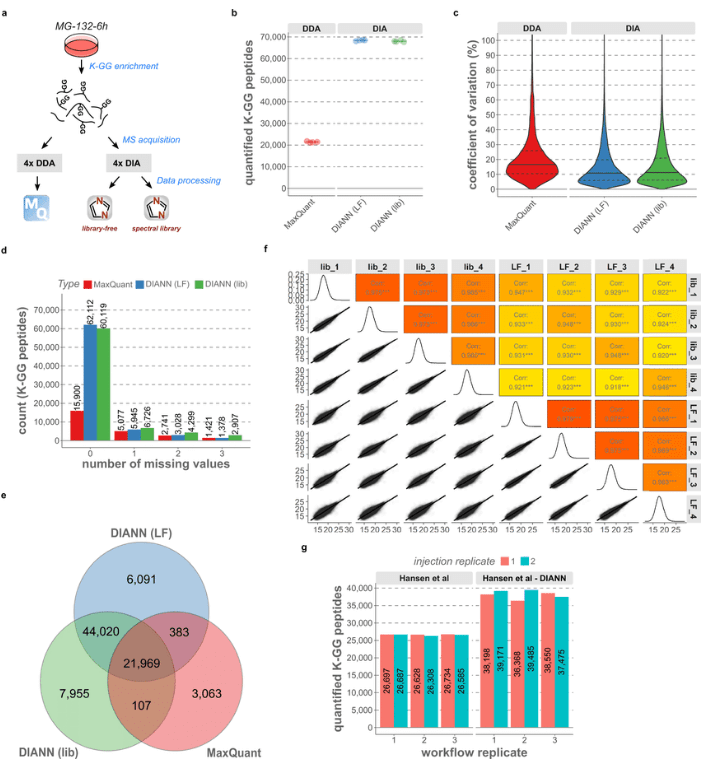 Side-by-side comparison between DDA and DIA for ubiquitinomics.