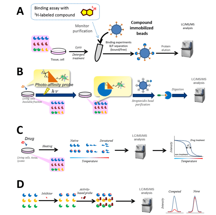 Target deconvolution by chemical proteomics