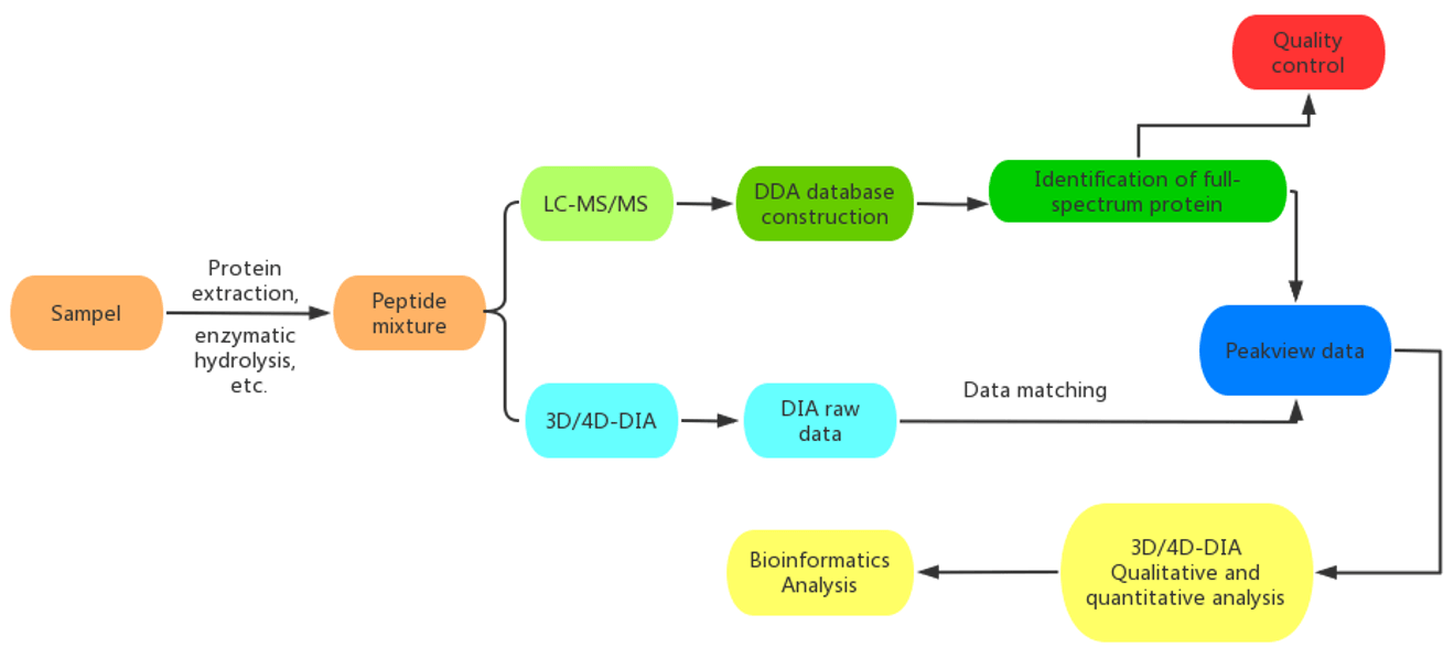 Workflow of Our Fecal Proteomics Services