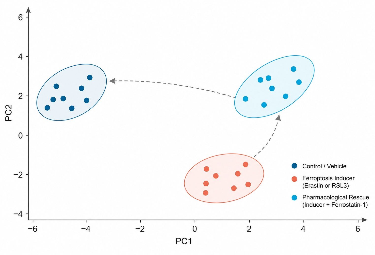 PCA and UMAP clustering of ferroptosis inducer and rescue states