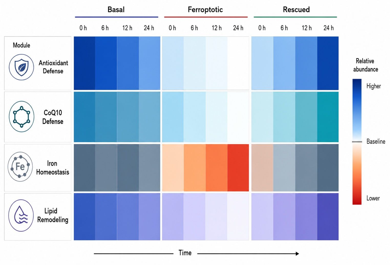 Antioxidant defense and lipid metabolism heatmap