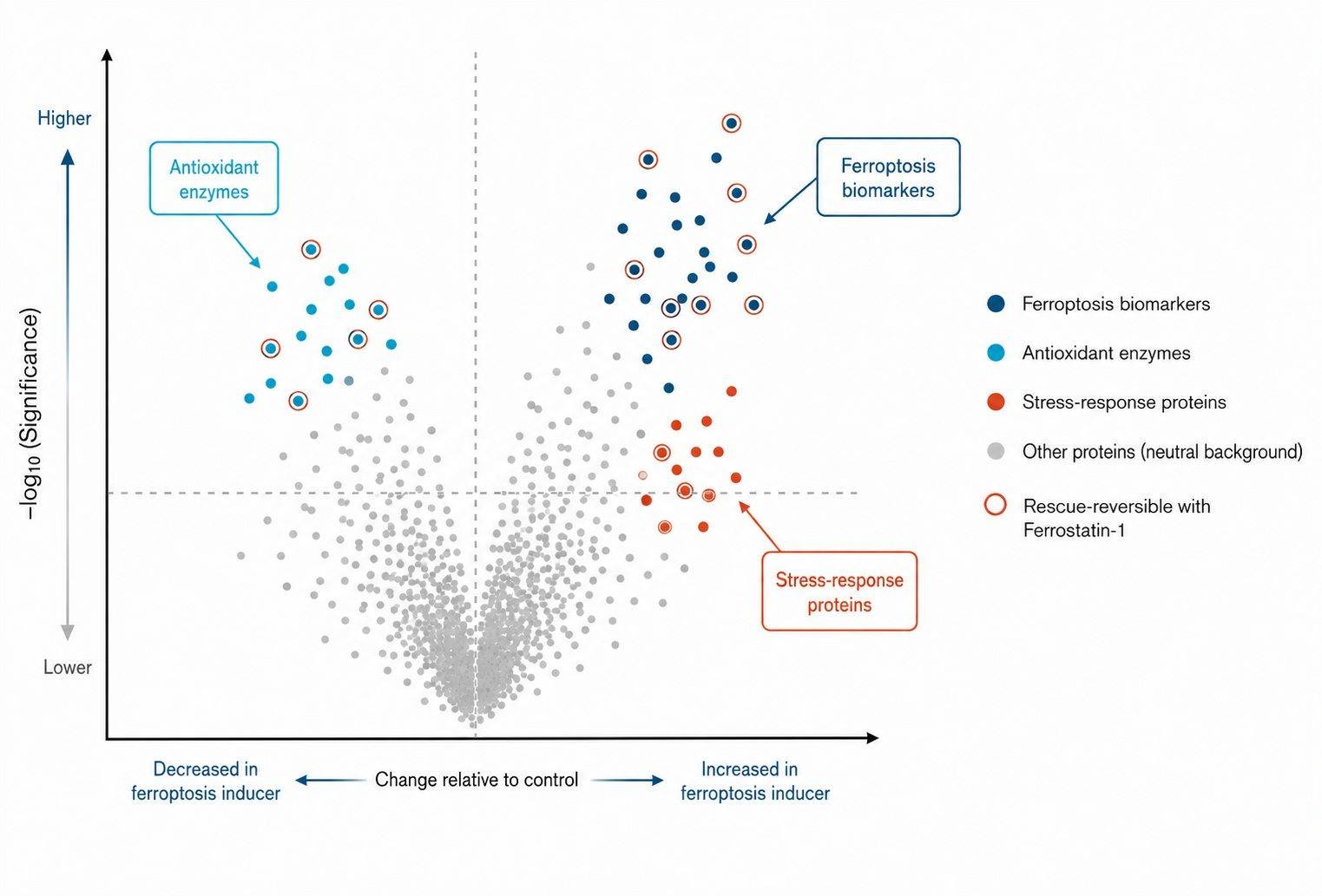 Volcano plot of differential protein abundance in ferroptosis