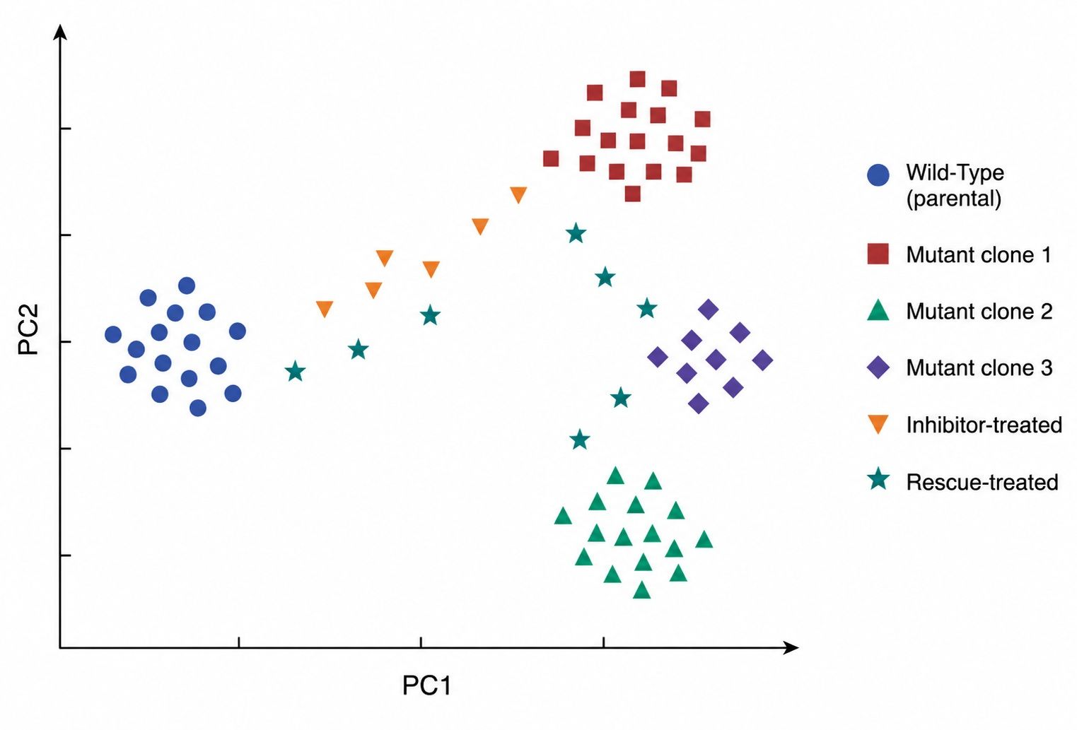 PCA visualization of wild-type versus mutant proteomic states