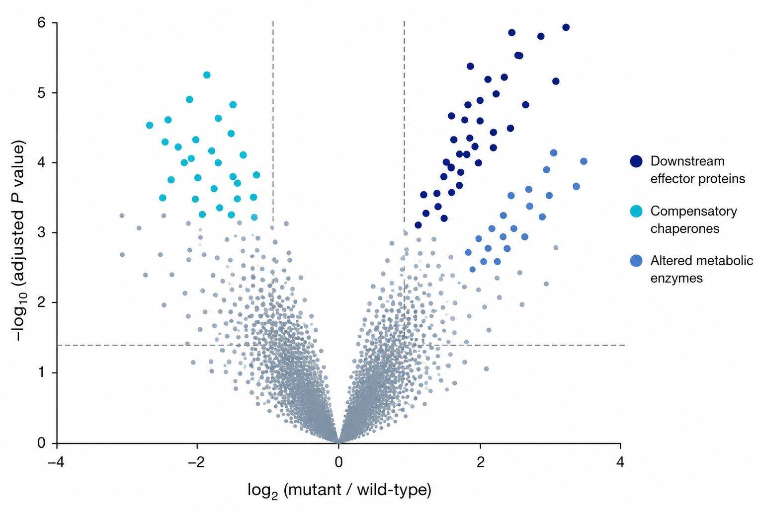 Volcano plot of mutant versus wild-type differential protein abundance