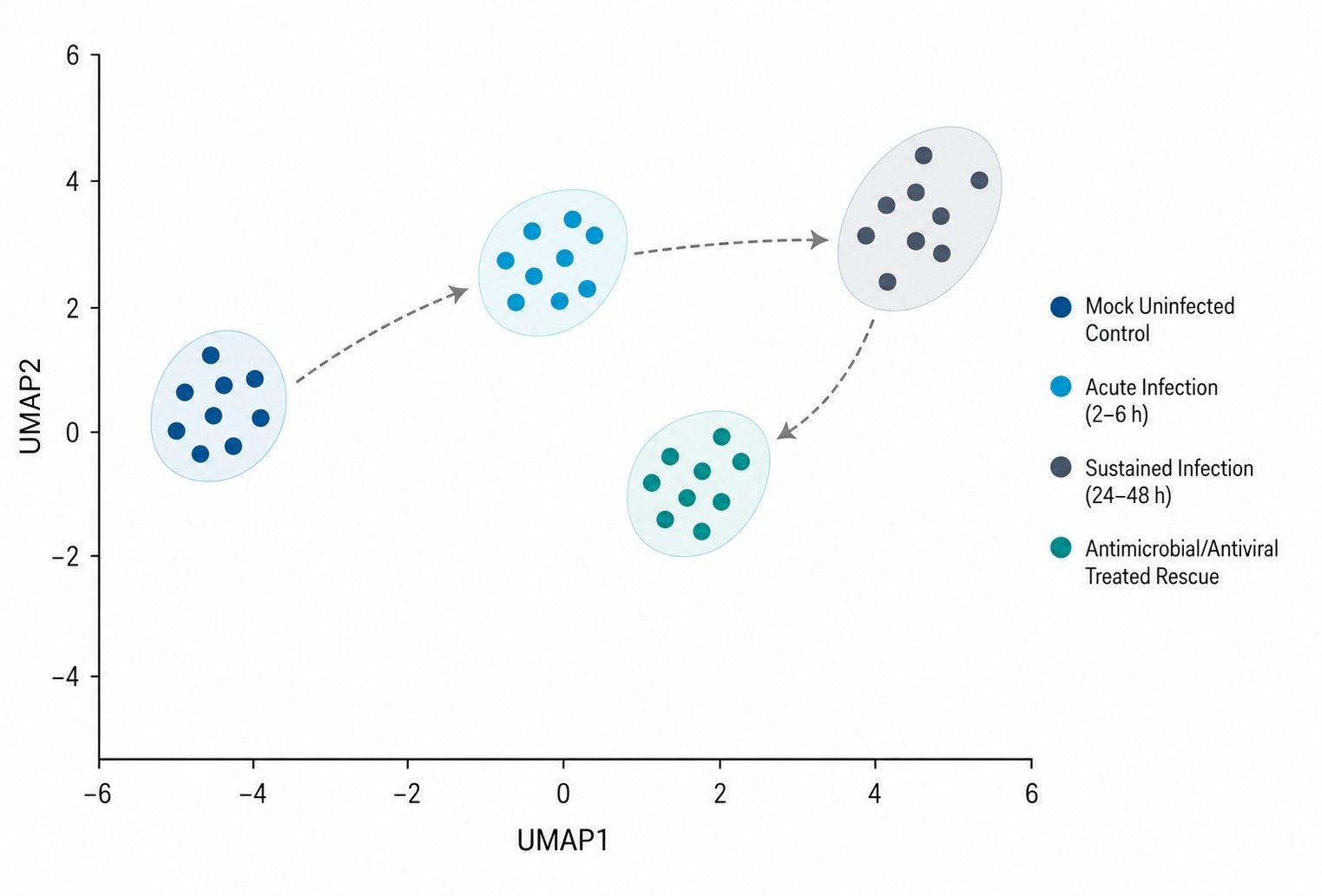 PCA clustering of mock, acute, and sustained infection cohorts