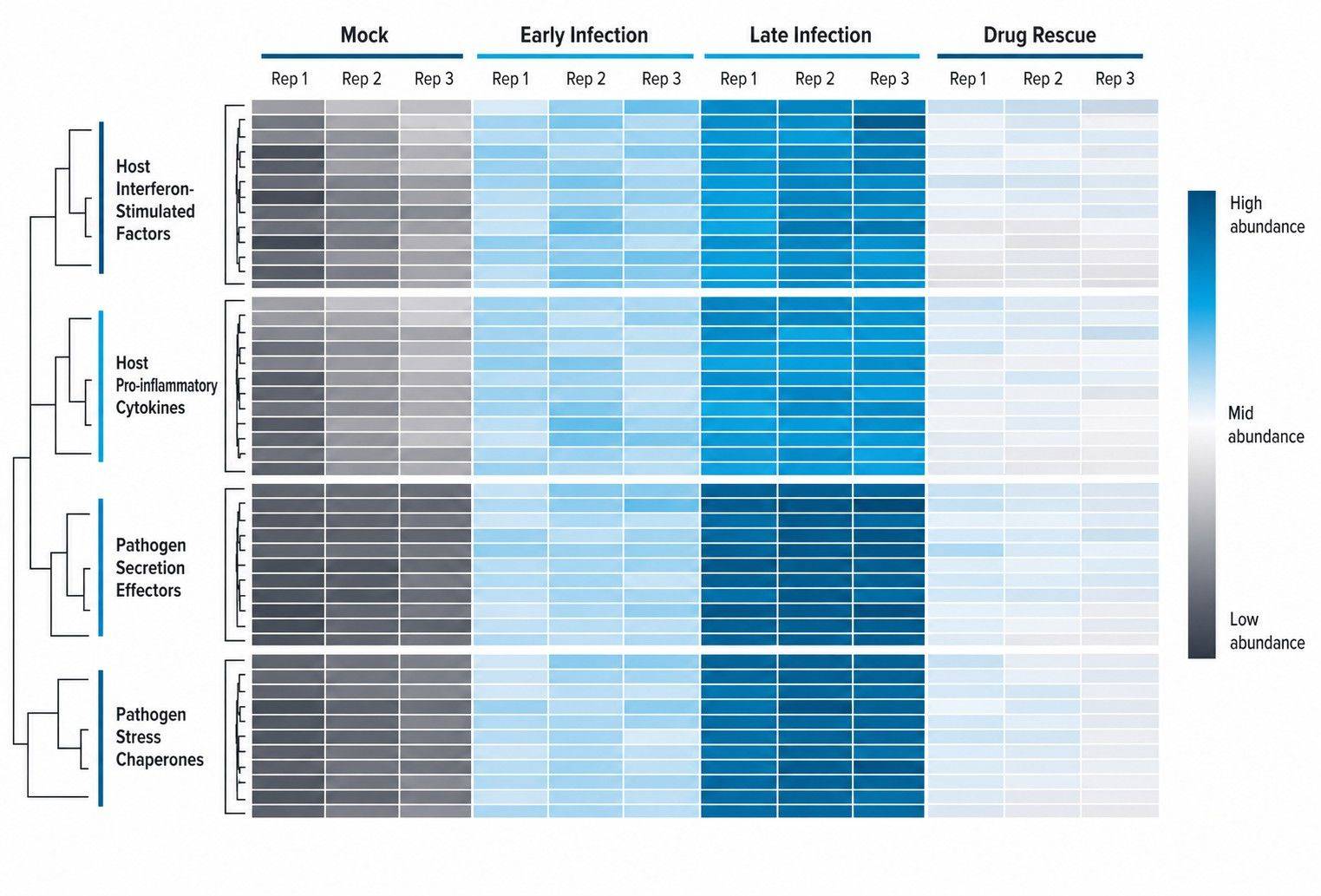 Dual-species temporal heatmap of host defense and pathogen virulence factors