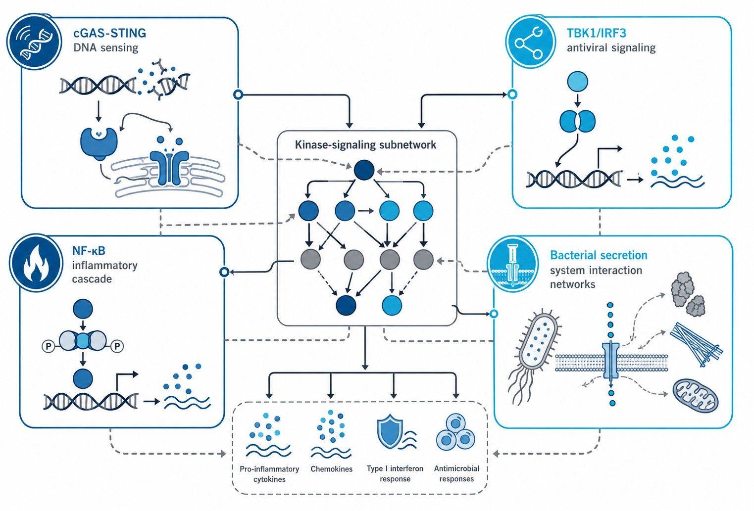 Innate immunity pathway and kinase-substrate signaling network