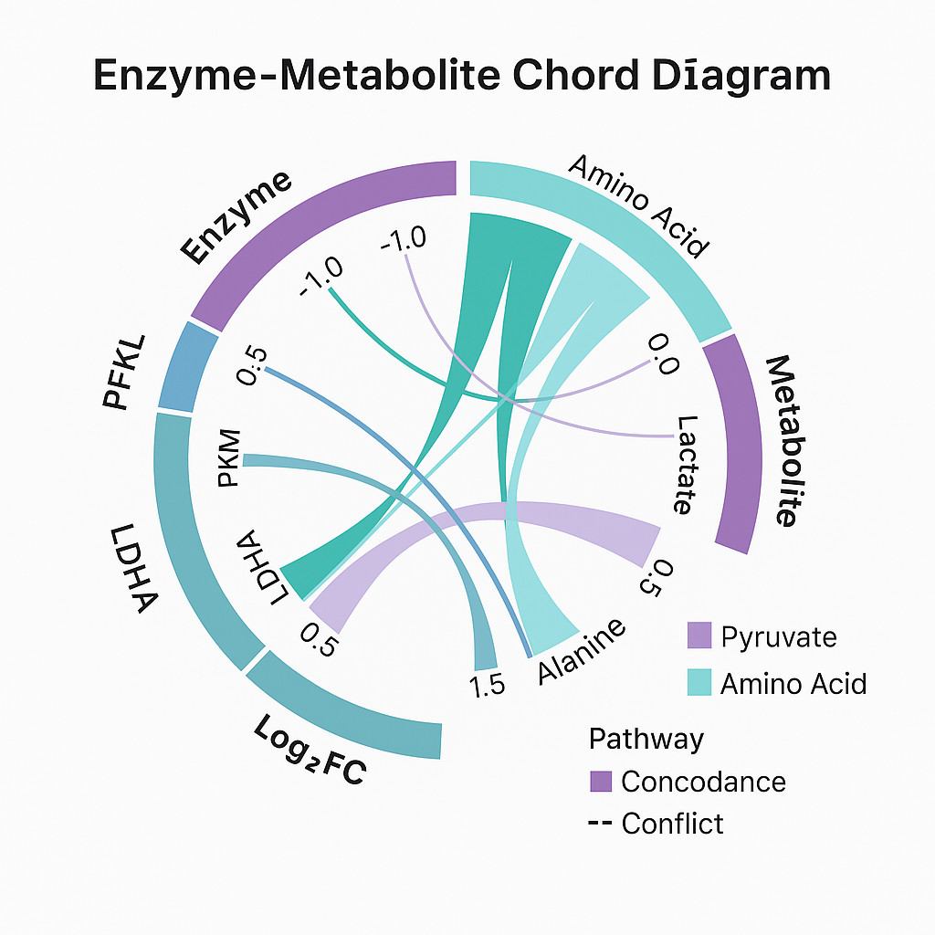 Chord diagram linking enzymes and metabolites by fold change and direction consistency.