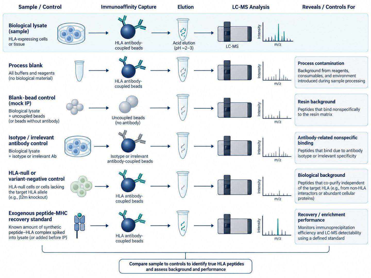 Control architecture for separating true HLA-associated peptide evidence from process, resin, antibody, and biological background.