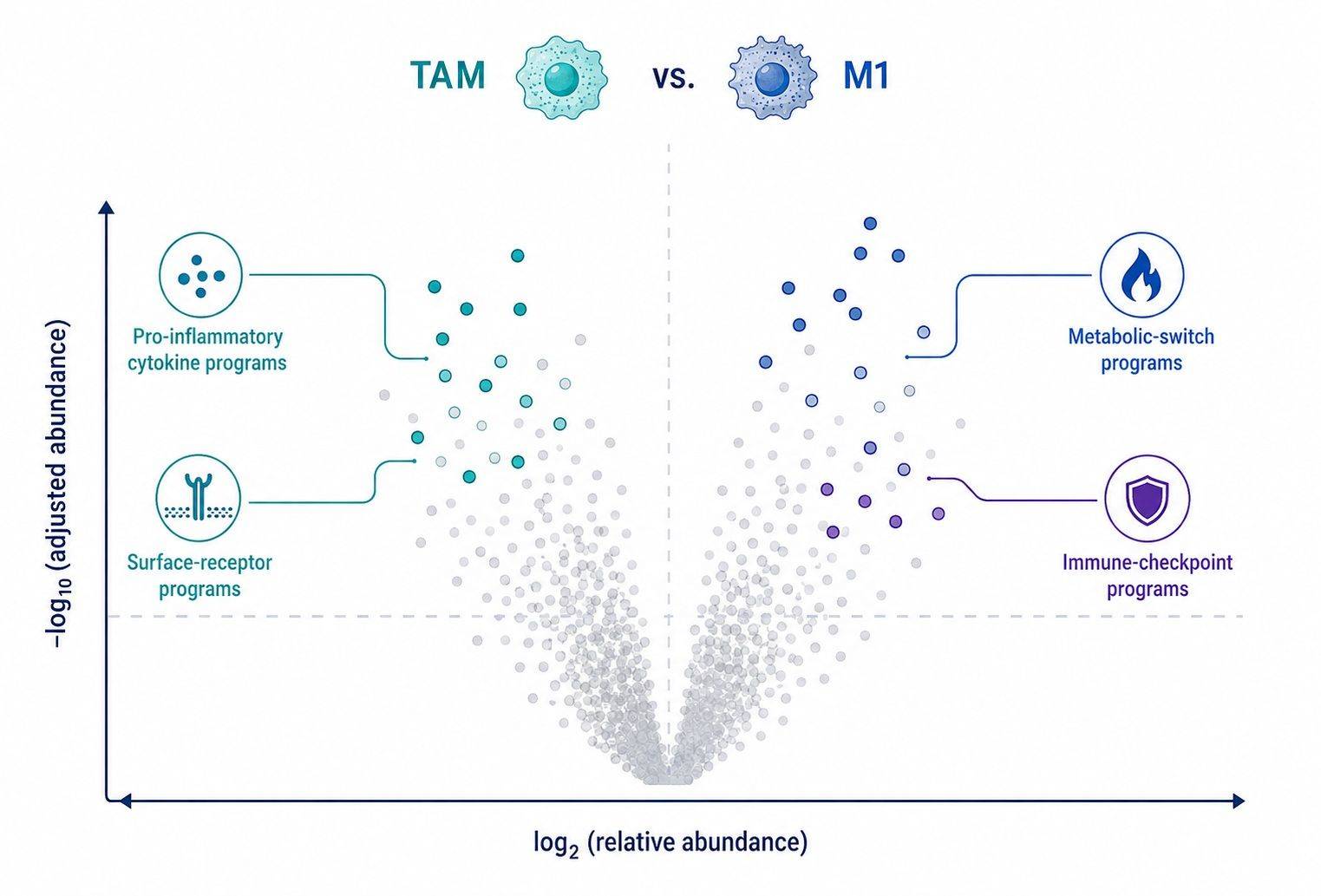 Volcano plot of differential protein abundance