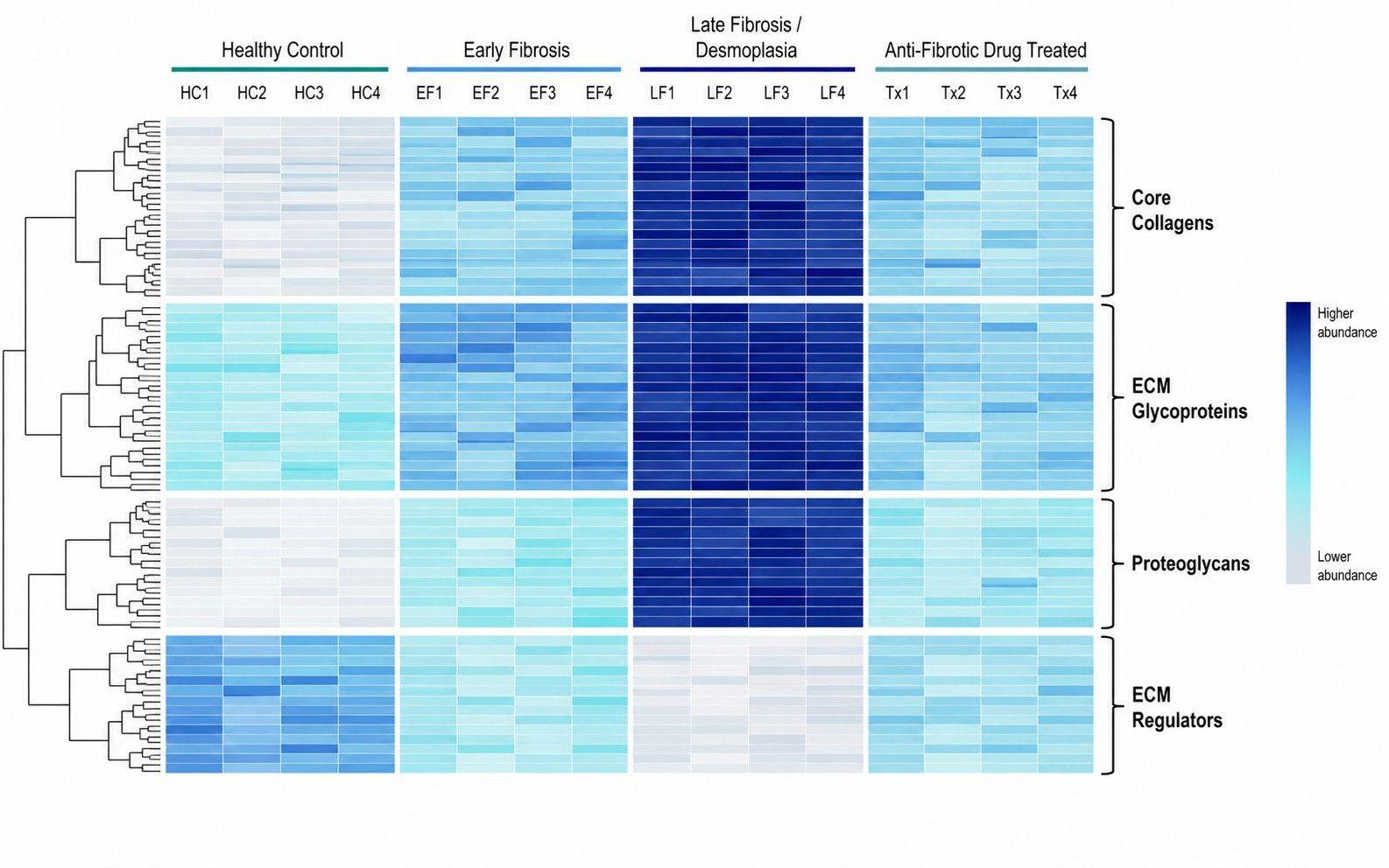 Heatmap of Core Matrisome and Matrisome-Associated factors across cohorts