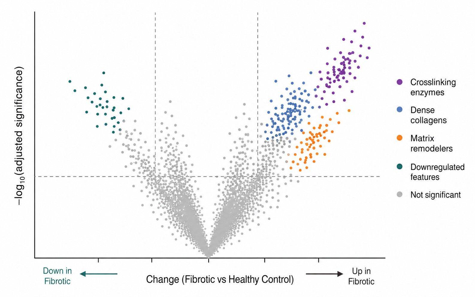 Volcano plot of differential matrisome protein abundance in fibrosis