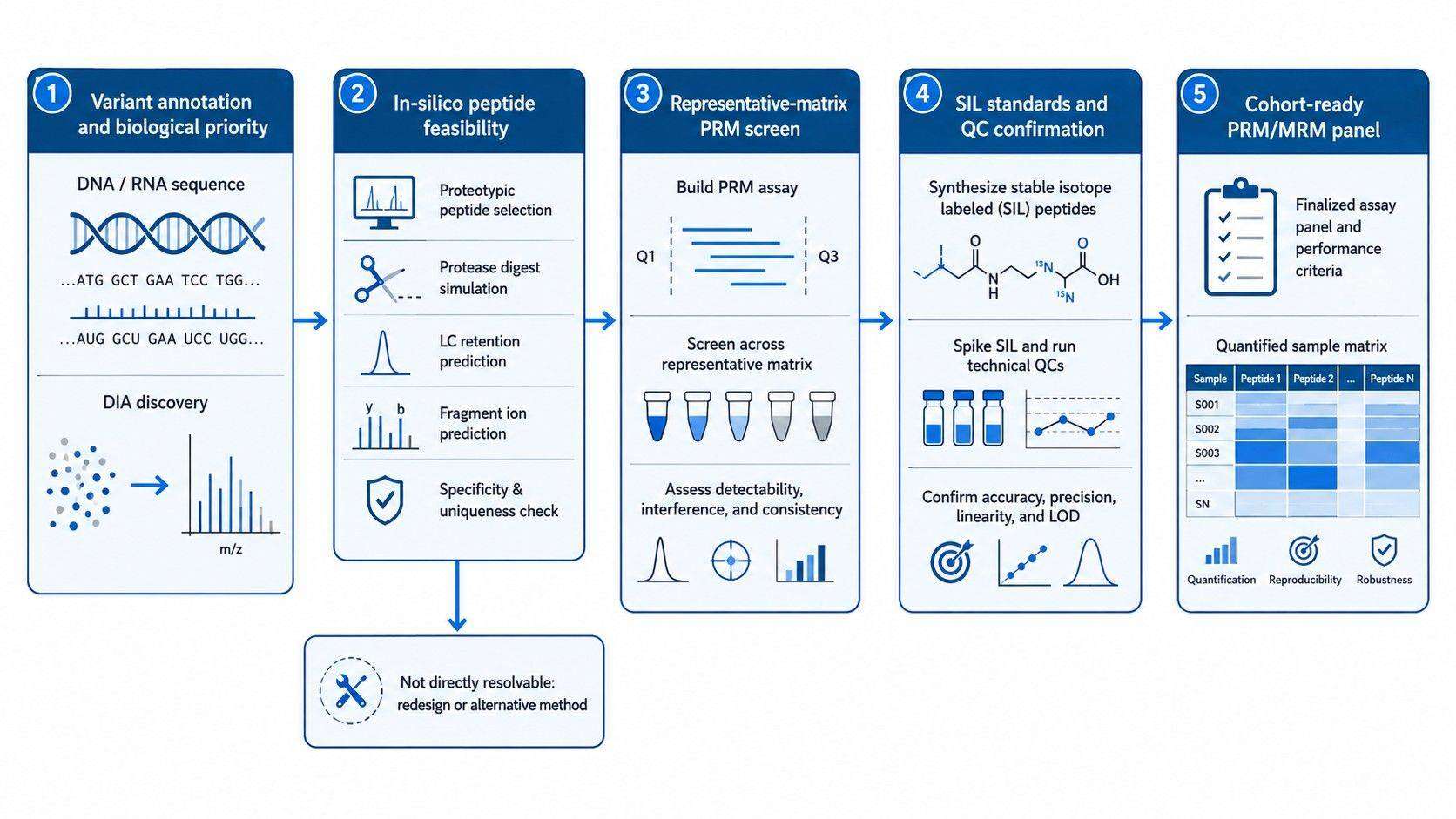 Workflow linking variant discovery, peptide feasibility, PRM screening, standards, and cohort validation