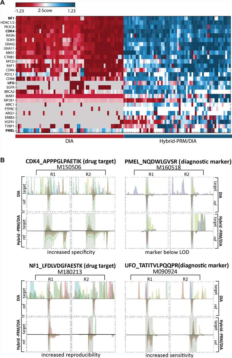 Hybrid PRM/DIA combines targeted biomarker monitoring with broad DIA-scale proteome coverage in a single analytical workflow.