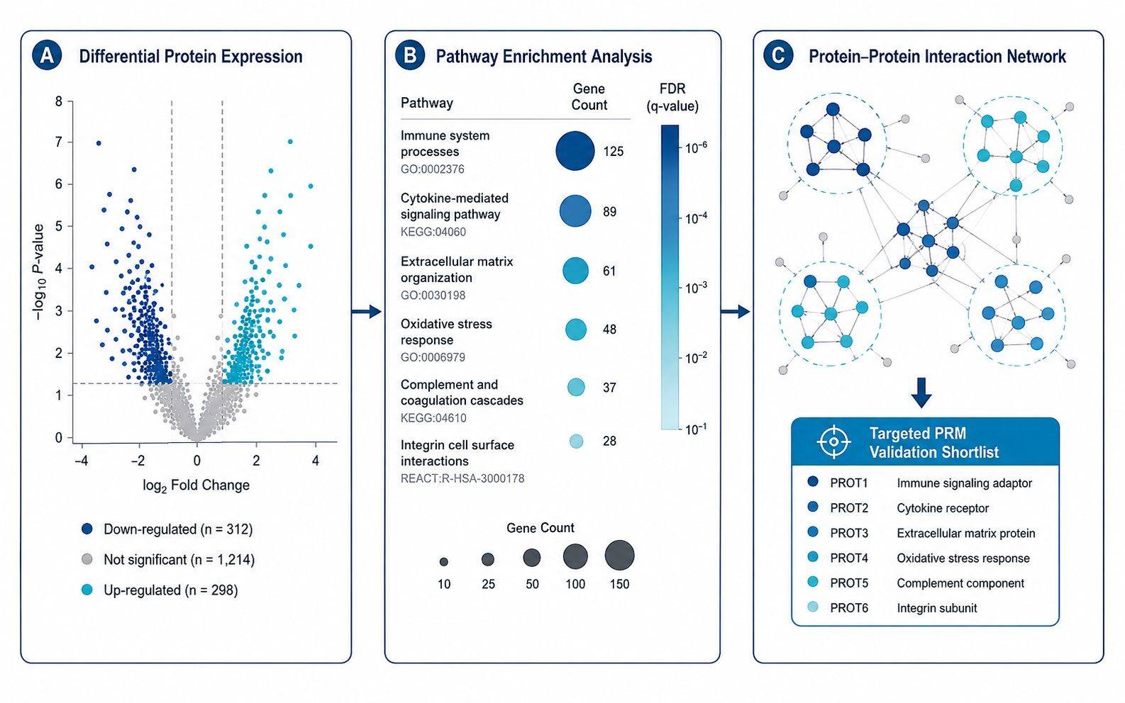 Organoid proteomics bioinformatics deliverable showing volcano plot, pathway enrichment, and protein network analysis