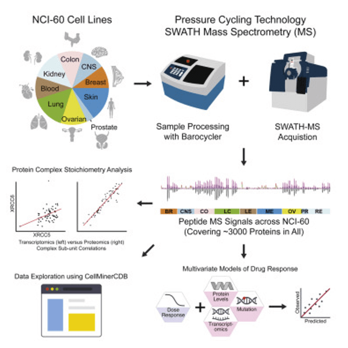 Workflow of PCT-DIA