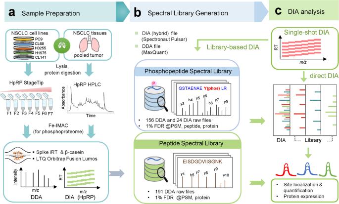 Pipeline for hybrid spectral library construction and phosphosite quantification