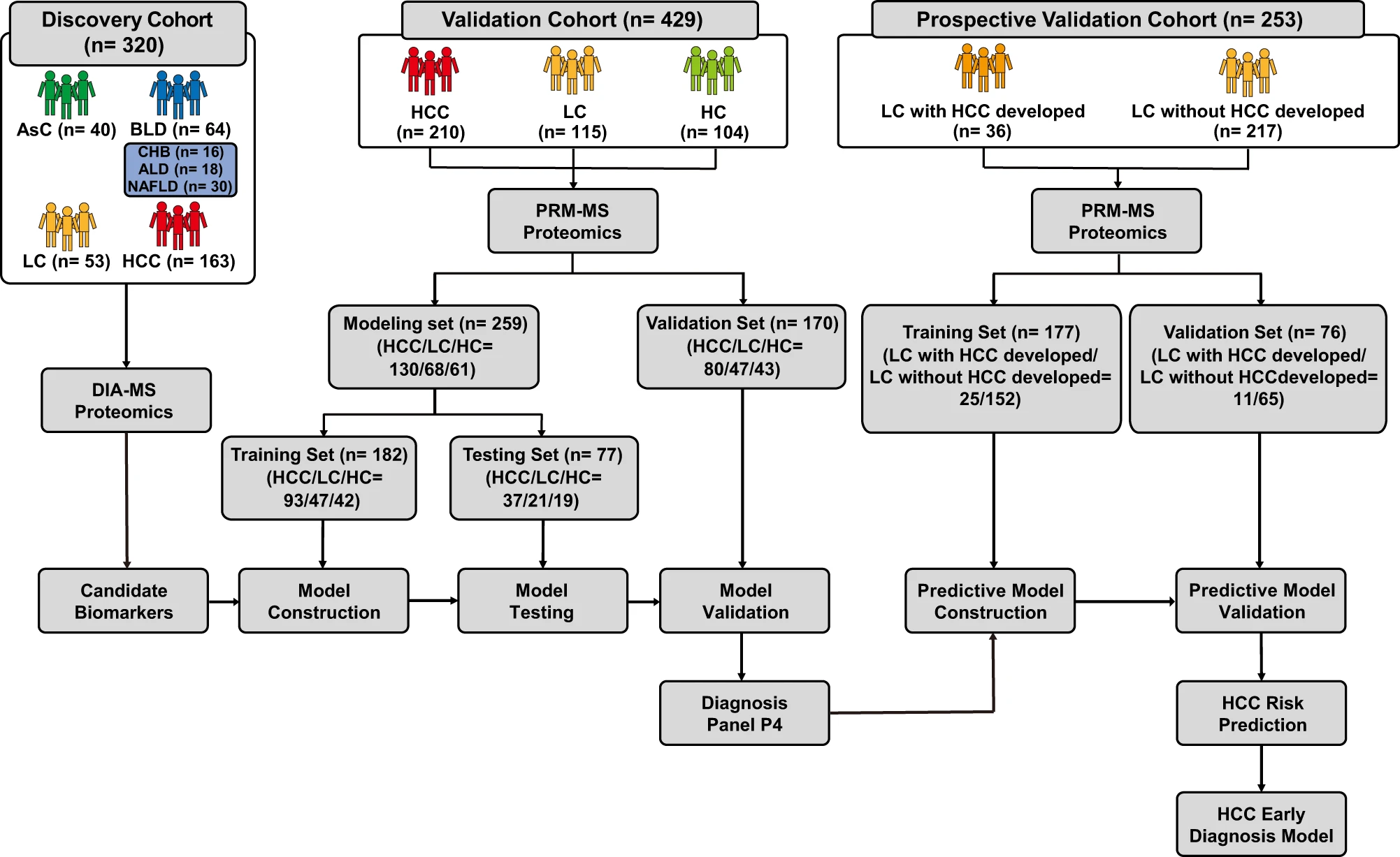 DIA-MS serum proteomics discovery-verification-validation workflow for HCC early diagnosis