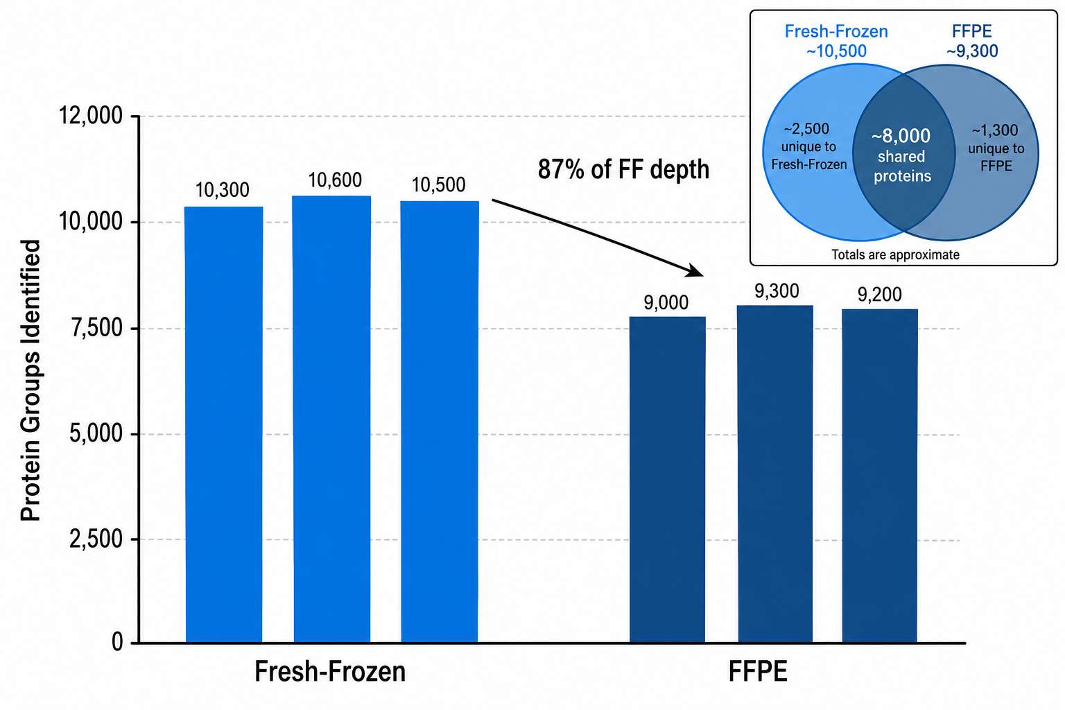 Protein identification depth: FFPE vs fresh-frozen comparison