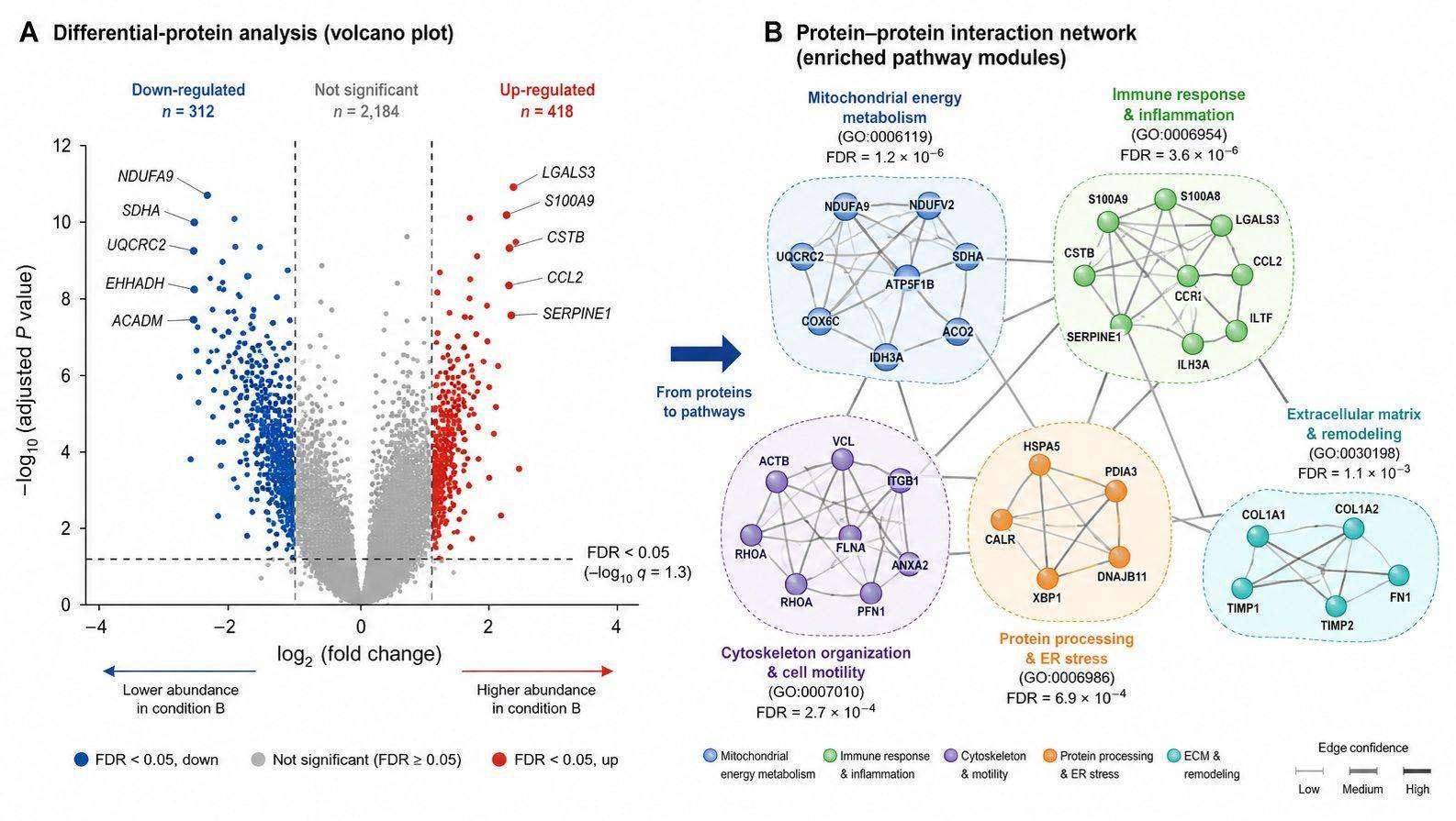 DIA biological-interpretation summary showing differential protein abundance and pathway network context