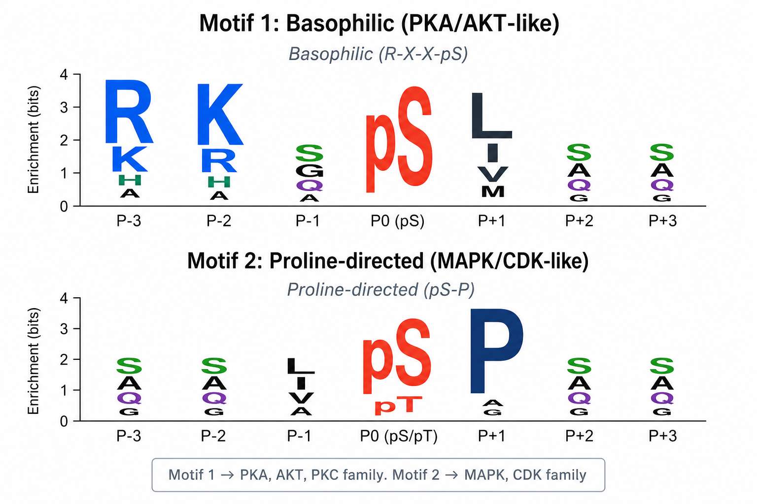 Phosphorylation motif sequence logo analysis