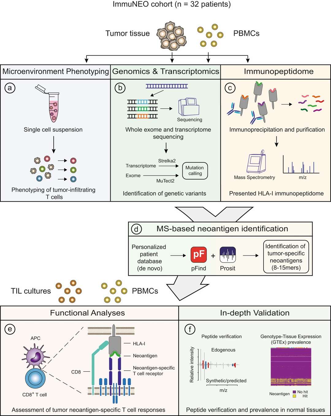 Hybrid spectral library construction and phosphosite quantification pipeline