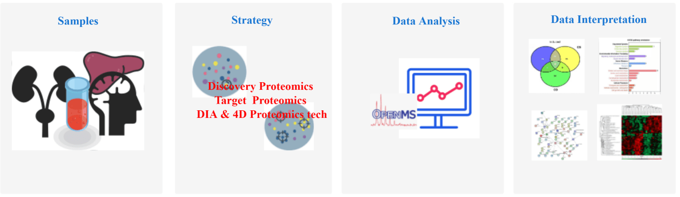 Workflow of Our Services