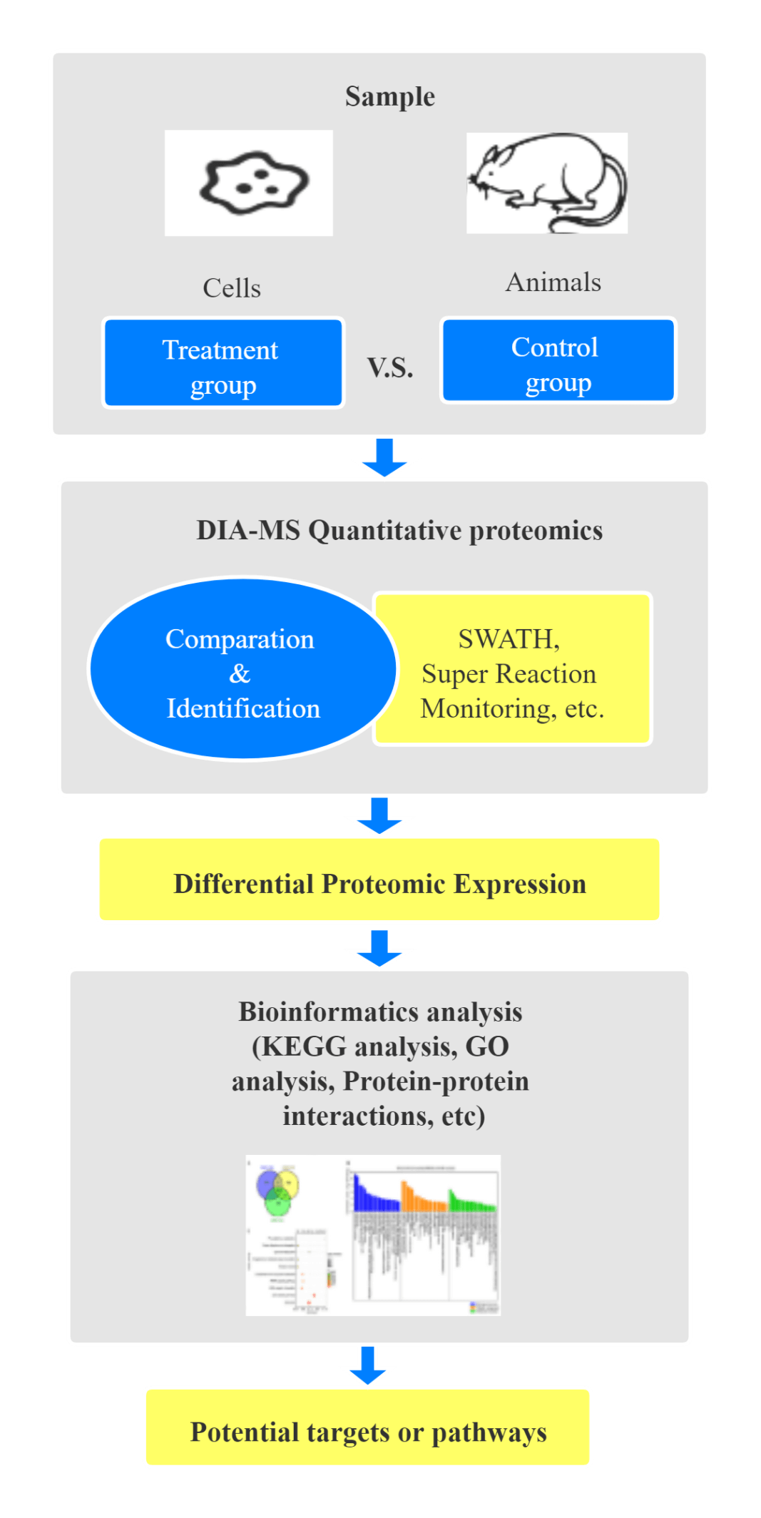 Schematic diagram of the experimental procedure for differential proteomics in studying of the mechanism of drug action