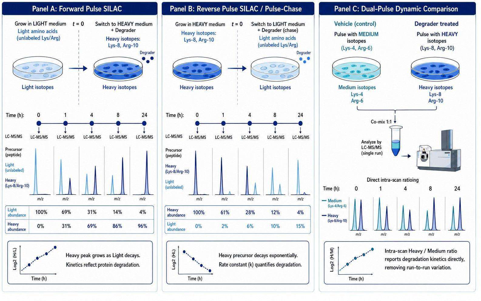 Experimental architectures of forward, reverse, and dual-pulse SILAC workflows in degrader studies