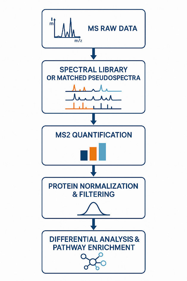 DIA proteomics workflow from raw data to protein-level statistical analysis with integrated quality control.