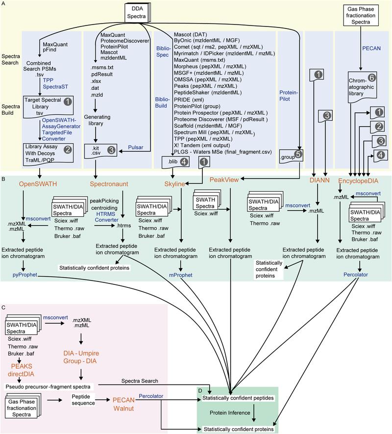 Library-Free vs Library-Based DIA Proteomics: Strategies, Software, and Best Use Cases