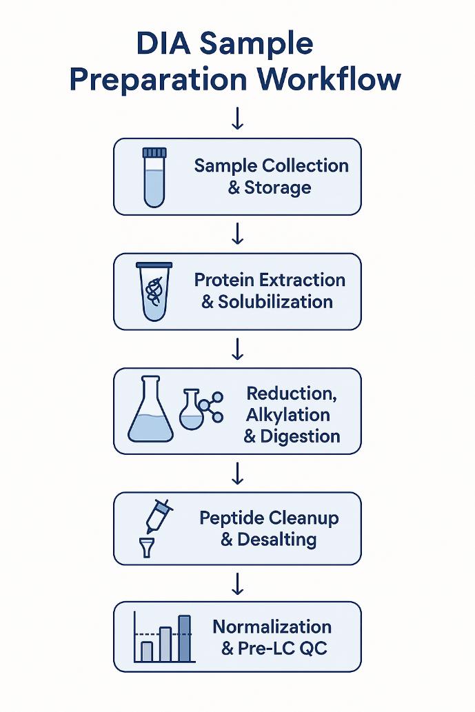 Optimizing Sample Preparation for DIA Proteomics: Best Practices
