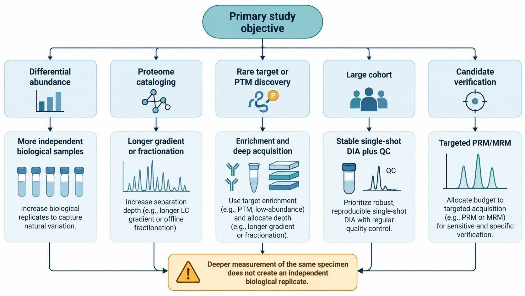 Budget-allocation framework for choosing among biological replication, chromatographic depth, fractionation, and targeted follow-up.