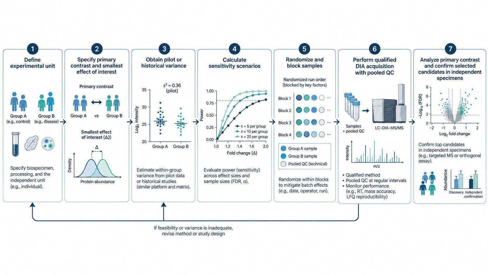 Study-design sequence from experimental-unit definition and pilot variance through randomization, DIA acquisition, and independent confirmation.